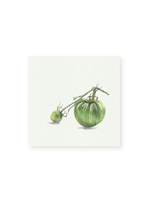 Tomato No.3 Giclee Print