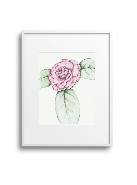 Camellia No.1 Giclee Print