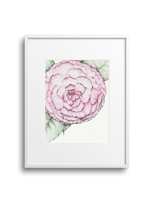 Camellia No.2 Giclee Print