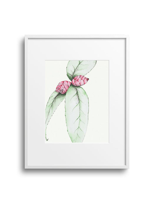 Camellia No.3 Giclee Print