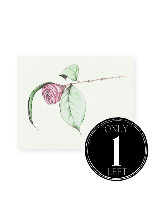 Camellia No.4 Giclee Print