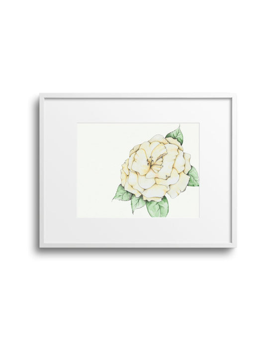 Camellia No.7 Giclee Print