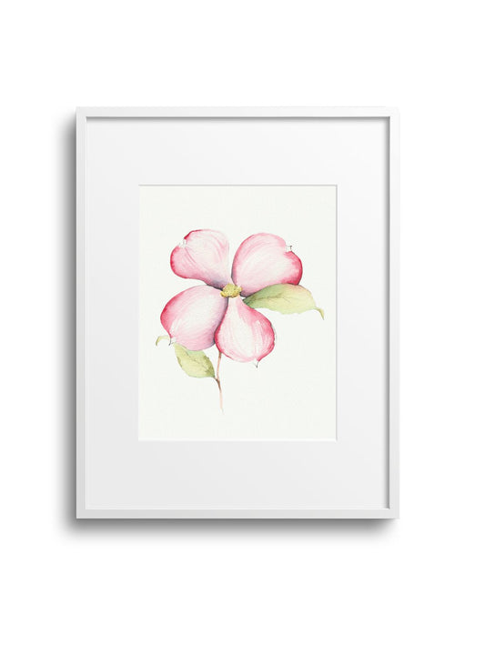 Pink Dogwood No.2 Giclee Print