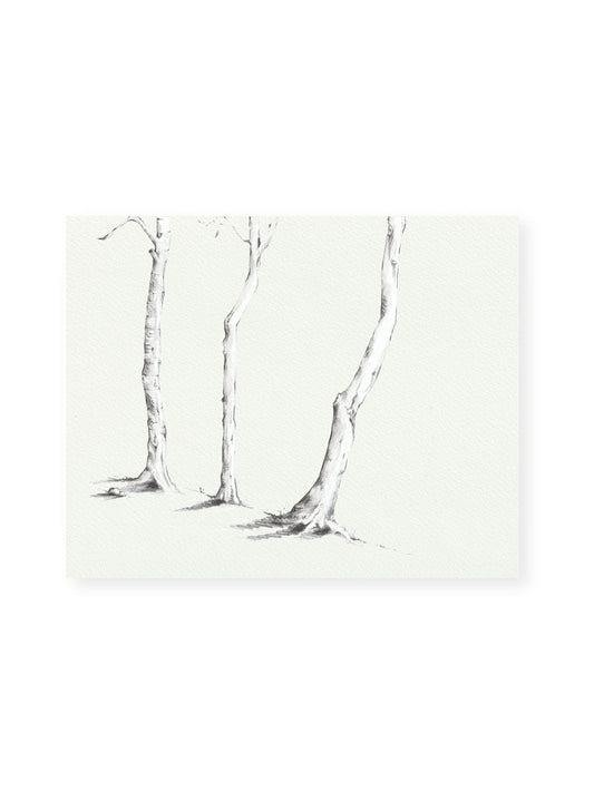 Graphite Tree No.2 Giclee Print