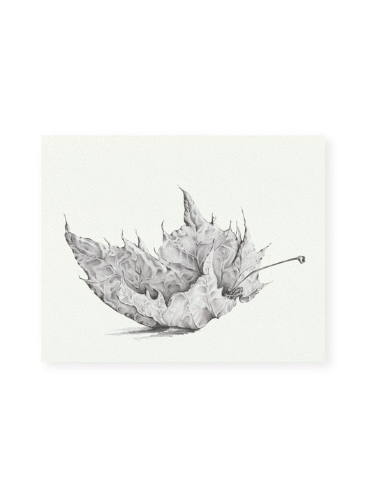 Graphite Leaf No.1 Giclee Print