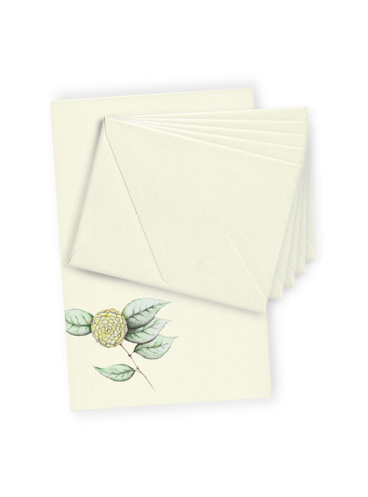 Camellia No.5 Letter Paper Bundle