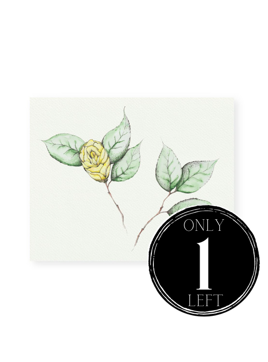 Camellia No.6 Giclee Print