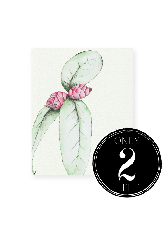 Camellia No.3 Giclee Print