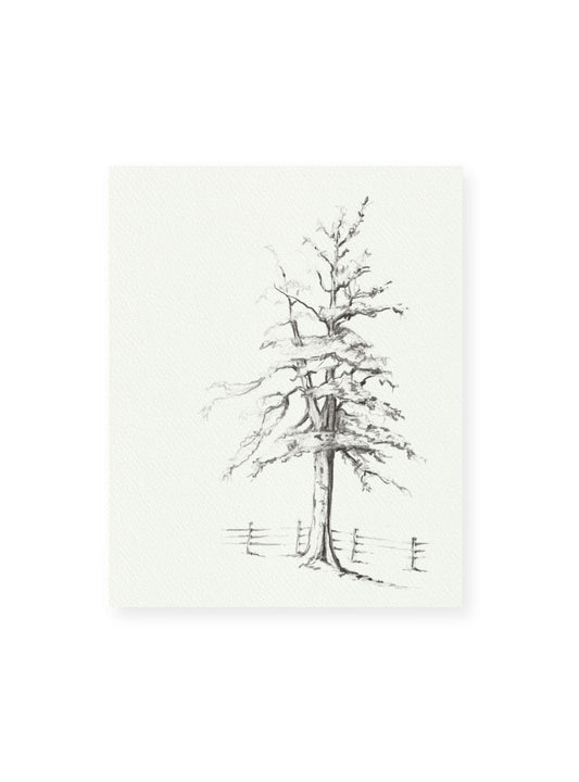 Graphite Tree No.1 Giclee Print