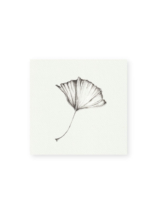 Gingko No.3 Giclee Print