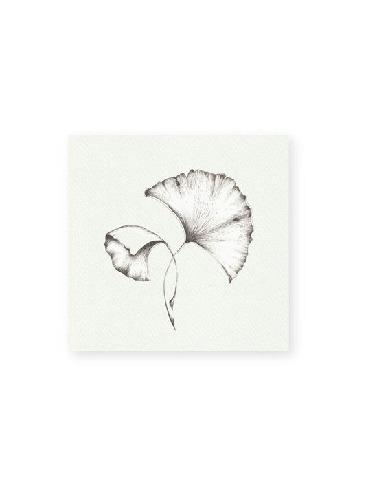 Gingko No.2 Giclee Print