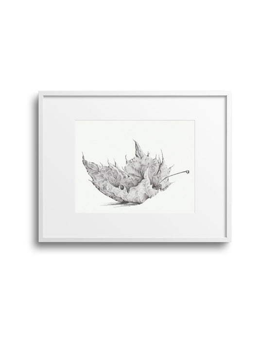 Graphite Leaf No.1 Giclee Print