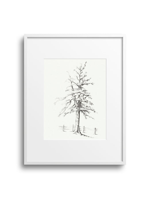 Graphite Tree No.1 Giclee Print